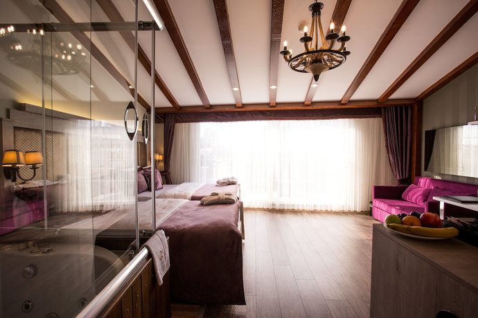 Imagen de la habitación del Bonne Sante Hotel, Beyoglu. Foto 18