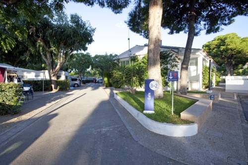 Imagen de los interiores del Bonterra Park. Foto 53