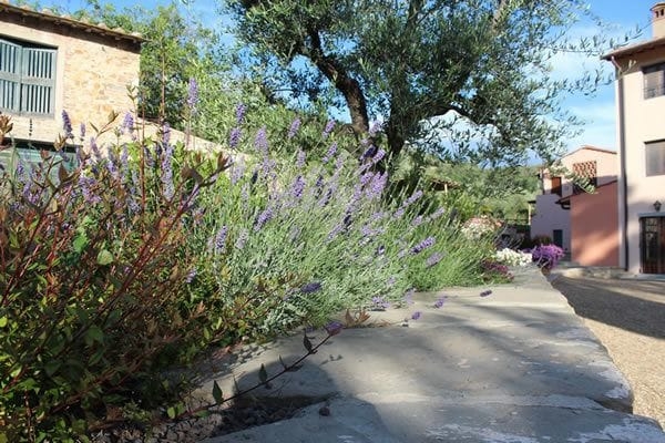 Imagen de los exteriores del Borgo I Vicelli Country Relais. Foto 18