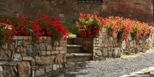 Imagen de la habitación del Borgo Il Castagno. Foto 7