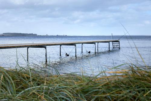 Imagen general del Borre Knob konferencecenter. Foto 8