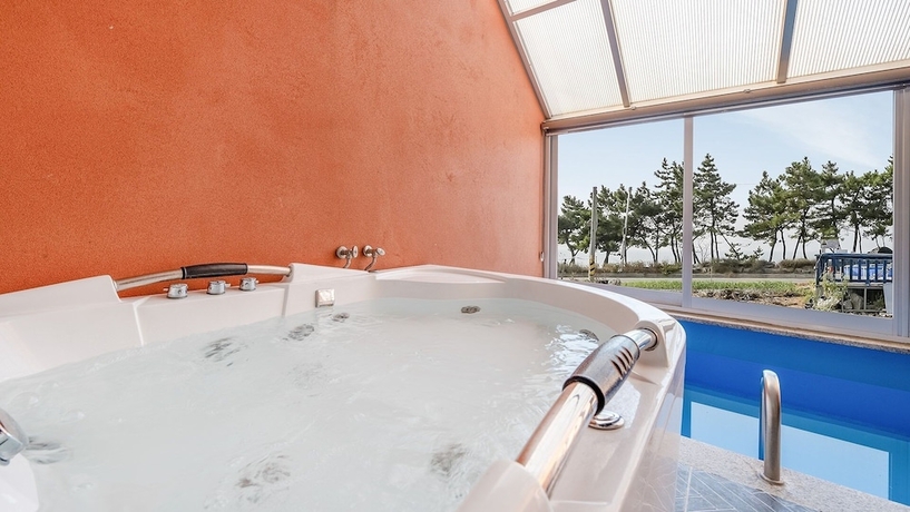 Imagen de la habitación del Boryeong Rainbow Poolvilla. Foto 12