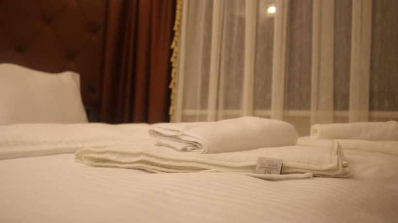 Imagen general del Boss To Hotel Taksim. Foto 10