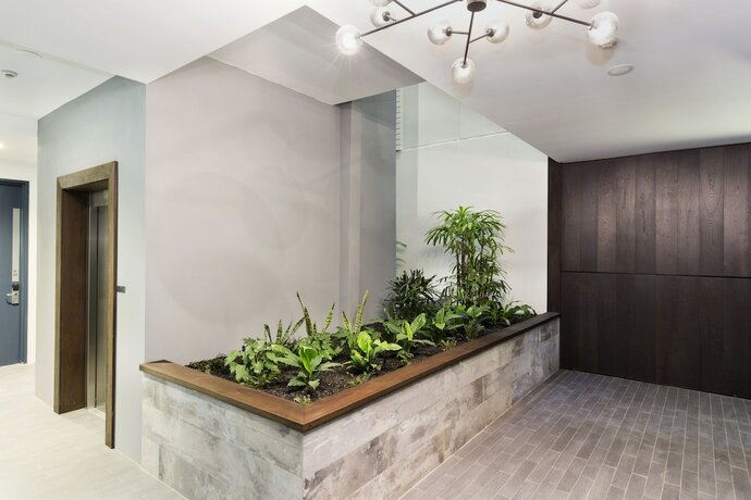 Imagen general del Botanik Apartment. Foto 6