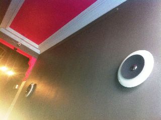 Imagen general del Botanique. Foto 4