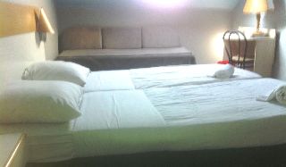 Imagen general del Botanique. Foto 6