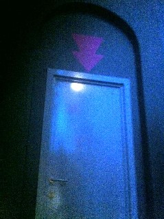 Imagen general del Botanique. Foto 7