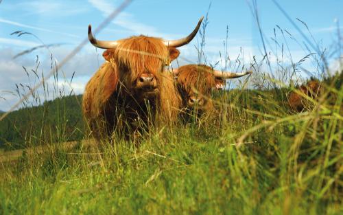 Imagen general del Bouda Klínovka. Foto 1