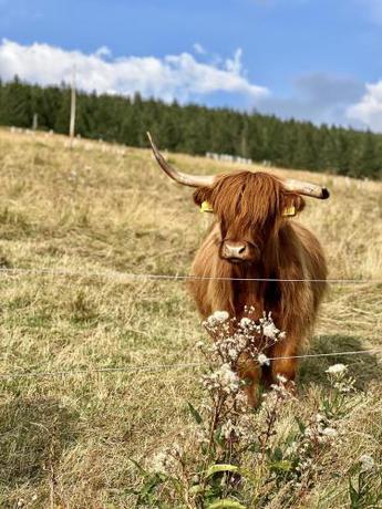 Imagen general del Bouda Kl&iacute;novka. Foto 6