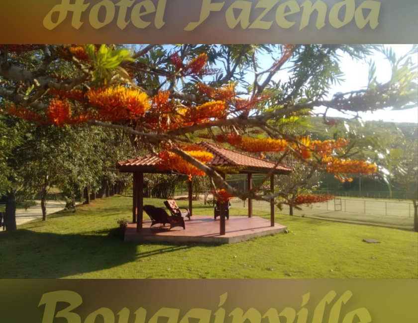 Imagen general del Bougainville Hotel Fazenda. Foto 8