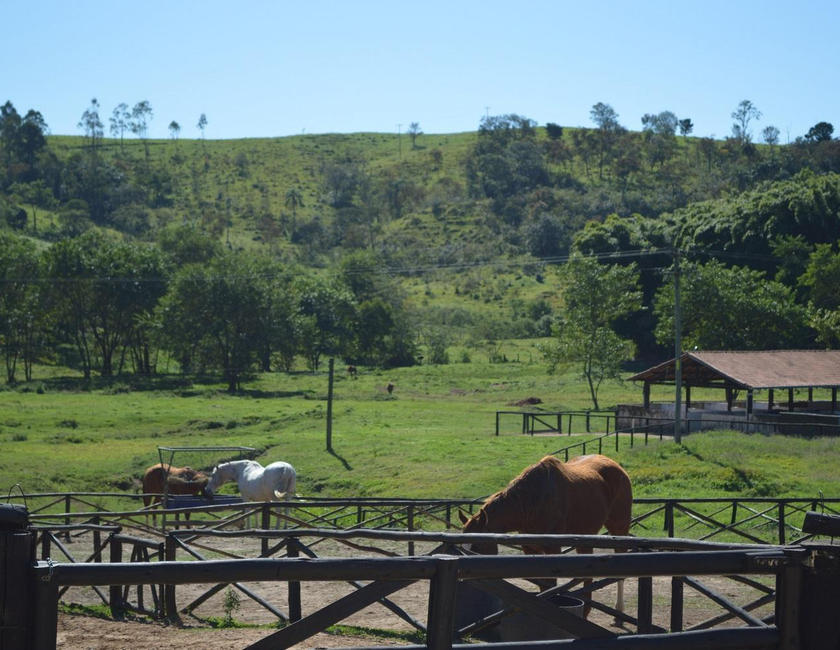 Imagen general del Bougainville Hotel Fazenda. Foto 12