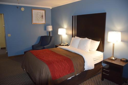Imagen de la habitación del Bourbon Capital Inn, Bardstown. Foto 9