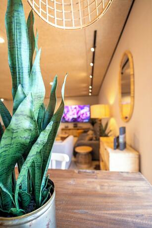 Imagen general del Boutique El Rom - Hostel. Foto 3