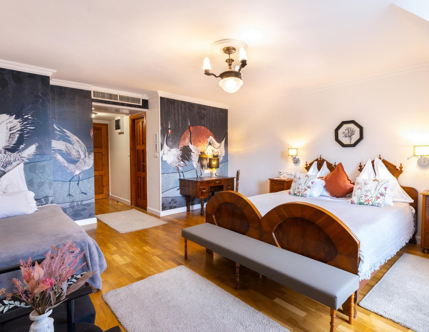 Imagen general del Boutique Hotel Sz&aacute;rcsa. Foto 2