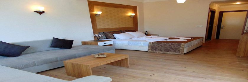 Imagen de la habitación del Boutique Nergiz Hotel. Foto 3