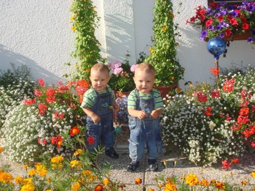 Imagen general del Brandstättgut. Foto 6