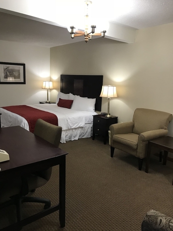 Imagen de la habitación del Brentwood Motor Inn. Foto 7
