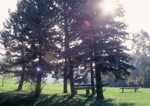 Imagen general del Bruckerhof. Foto 10