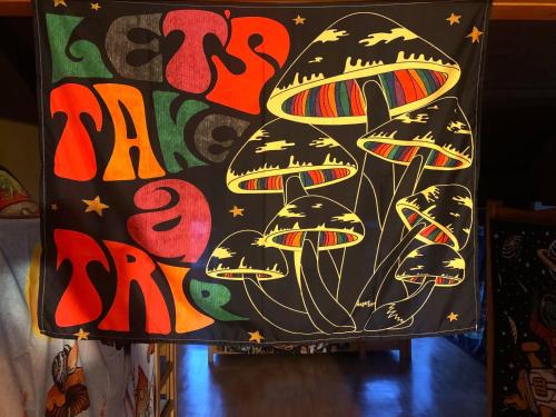 Imagen general del Bucket beach house. Foto 3