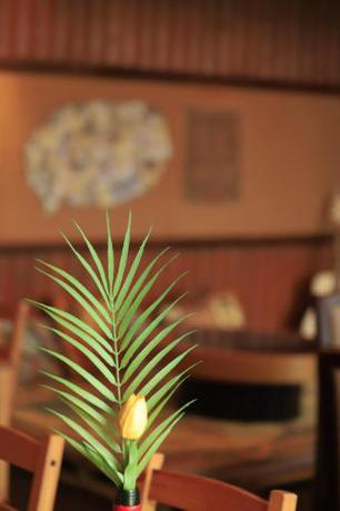 Imagen general del Bucket beach house. Foto 11