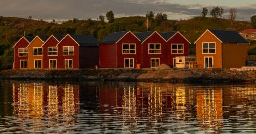 Imagen de la habitación del Bud Camping. Foto 16