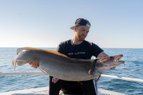 Imagen general del Bud Camping. Foto 6