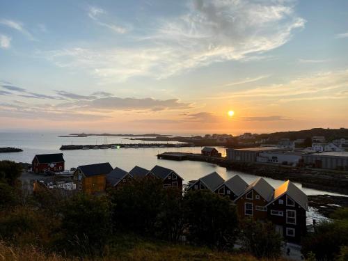 Imagen general del Bud Camping. Foto 7