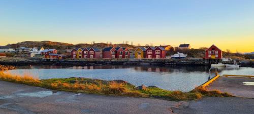 Imagen general del Bud Camping. Foto 8