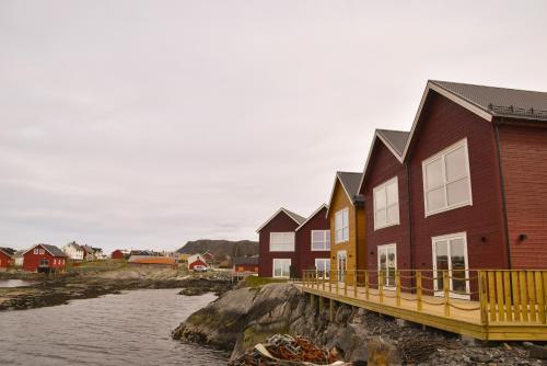 Imagen general del Bud Camping. Foto 9