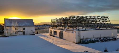 Imagen general del Bud Camping. Foto 10