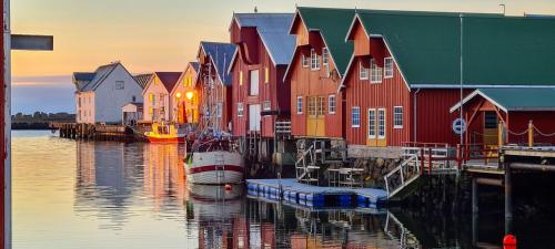 Imagen general del Bud Camping. Foto 12