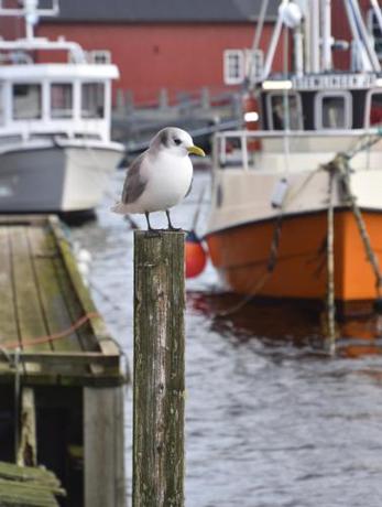 Imagen general del Bud Camping. Foto 13