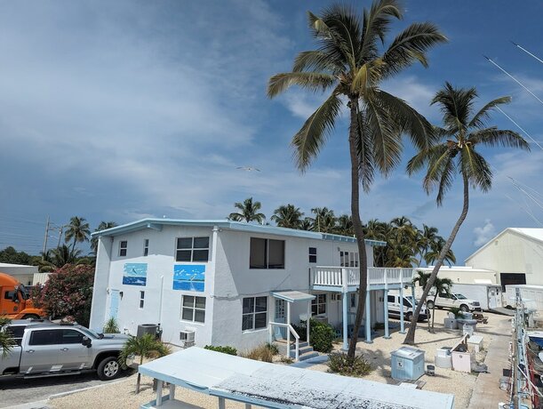 Imagen general del Bud N\' Mary\'s Fishing Marina. Foto 9