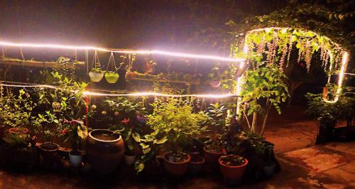 Imagen general del Buddar Inn. Foto 4