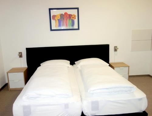 Imagen de la habitación del Budget Hotel Ludwigshafen. Foto 9