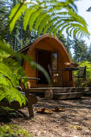 Imagen general del Buitenplaats Beekhuizen. Foto 20