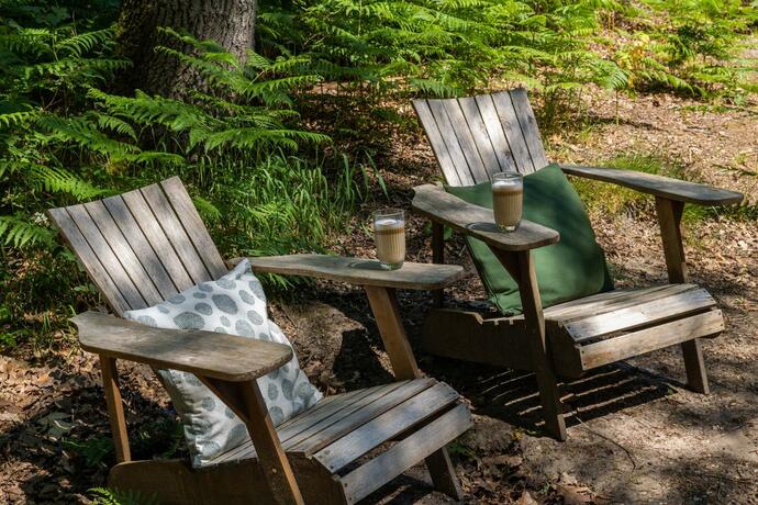 Imagen general del Buitenplaats Beekhuizen. Foto 21