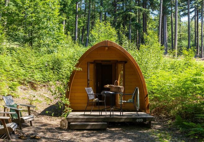 Imagen general del Buitenplaats Beekhuizen. Foto 25