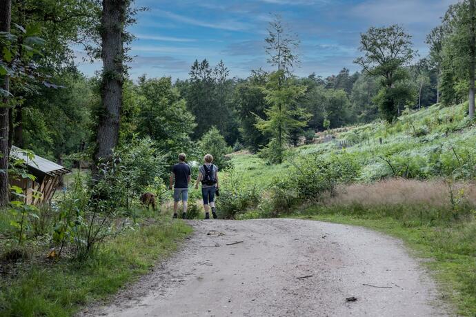 Imagen general del Buitenplaats Beekhuizen. Foto 31