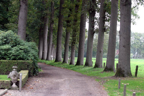 Imagen de la habitación del Buitenplaats Gerner. Foto 11
