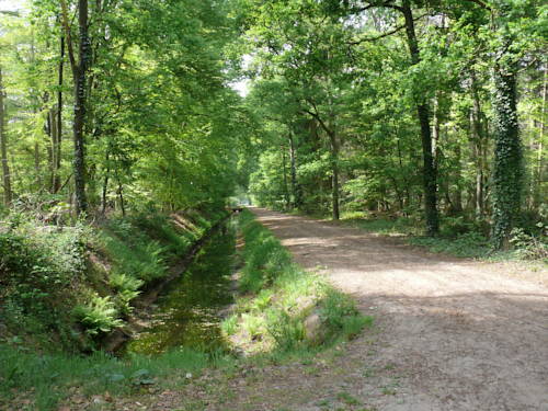 Imagen de la habitación del Buitenplaats Gerner. Foto 12