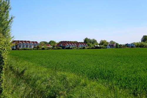 Imagen general del Buitenplaats Het Veerse Bree. Foto 3