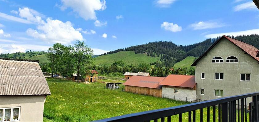 Imagen general del Bukovina Blue. Foto 66