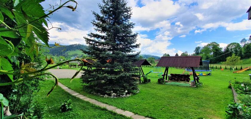 Imagen general del Bukovina Blue. Foto 81