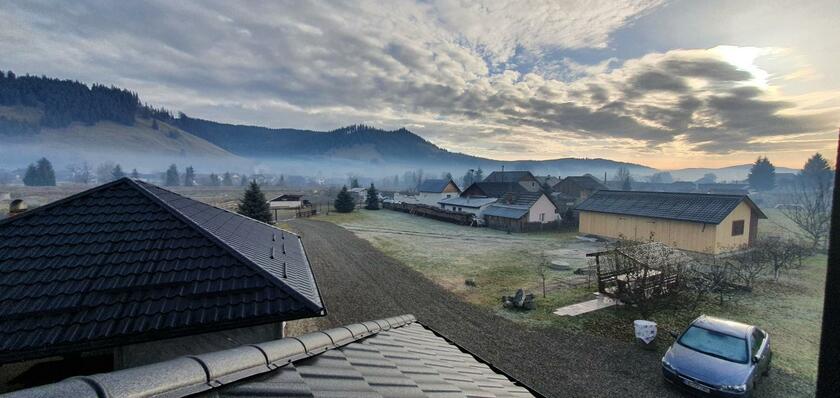 Imagen general del Bukovina Blue. Foto 88