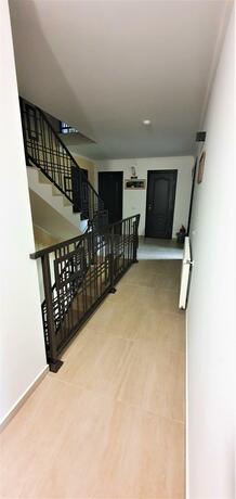 Imagen general del Bukovina Blue. Foto 100