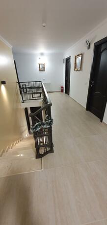 Imagen general del Bukovina Blue. Foto 101