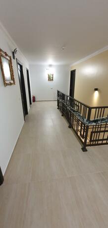 Imagen general del Bukovina Blue. Foto 102