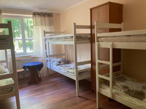 Imagen general del Bukowina Podczele. Foto 5