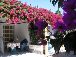 Imagen de los exteriores del Bungalows Laura. Foto 3